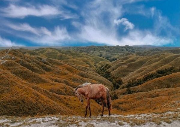 Sumba