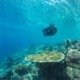 Eazycation Derawan